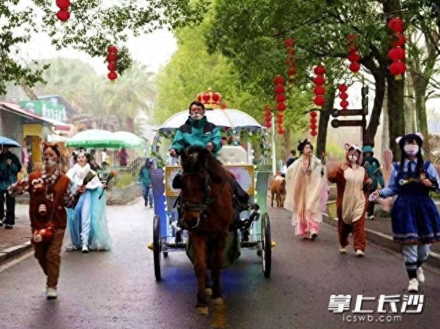 花车巡游动物投喂表演_长沙生态动物园清明活动_长沙生态动物园网址