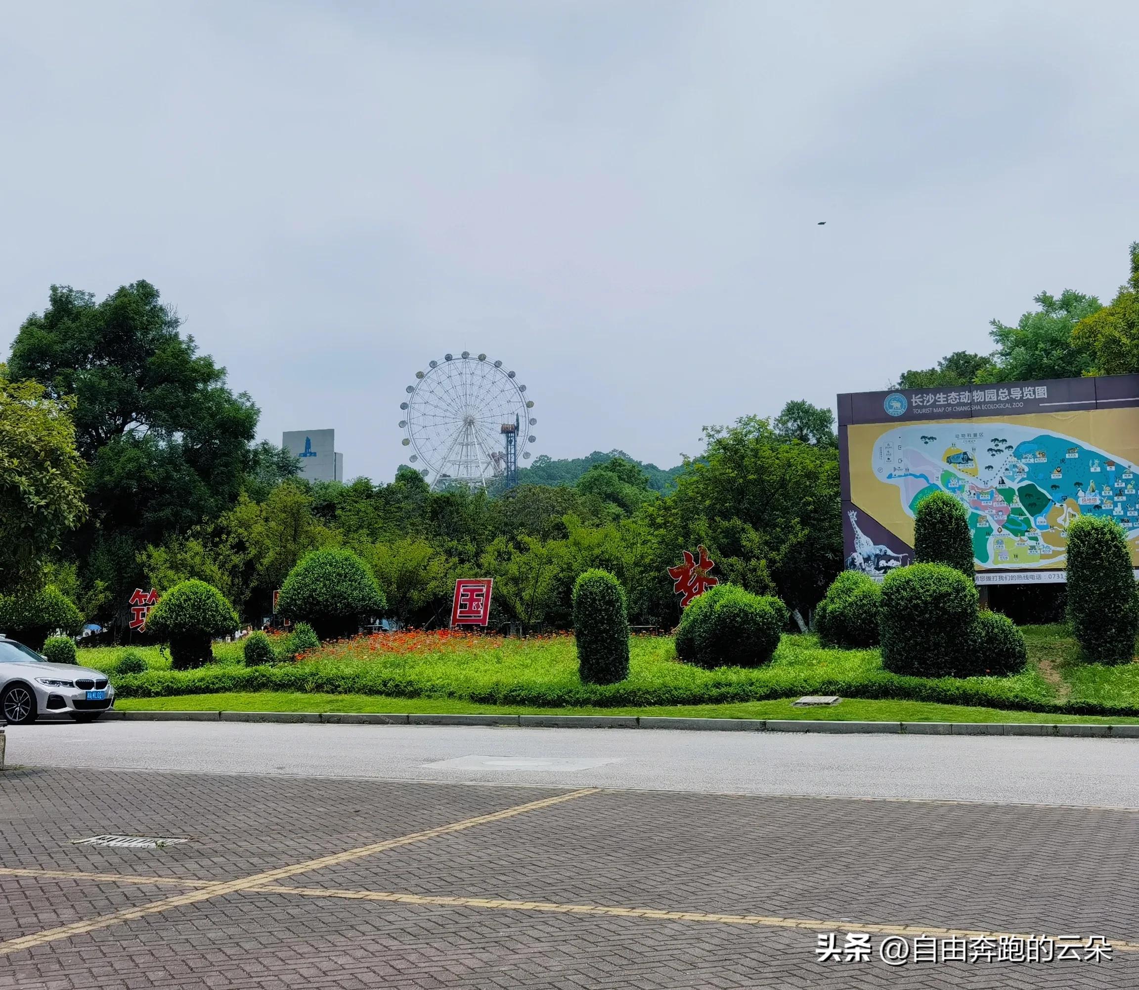 长沙生态动物园通票攻略_长沙生态动物园网址_车行区极地馆森林剧场跑马场游玩体验