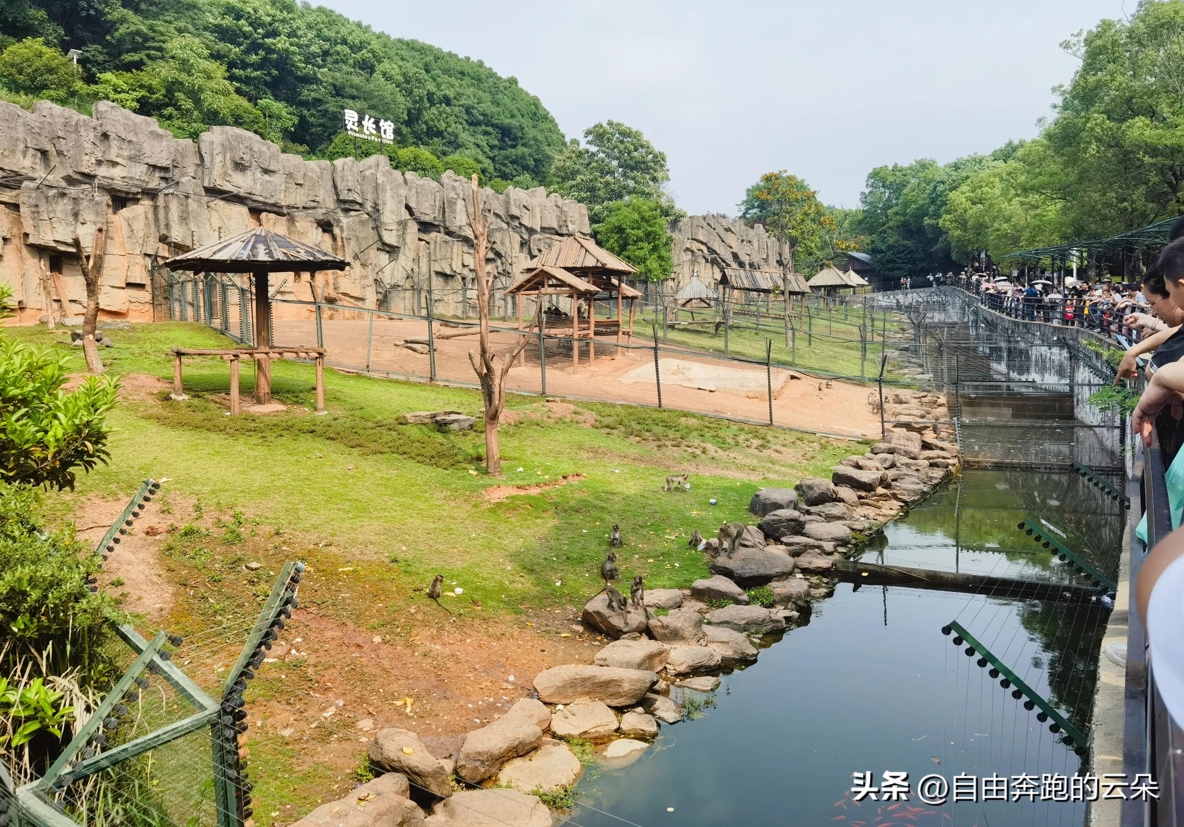 车行区极地馆森林剧场跑马场游玩体验_长沙生态动物园通票攻略_长沙生态动物园网址
