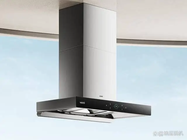 哪个品牌的抽油烟机好_老板抽吸排油烟机60D3S 1999元_小米智能欧式吸油烟机S2 2099元
