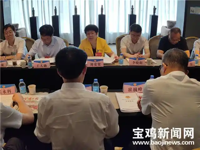 政协分组讨论发言_政协宝鸡市十二届五次会议_政协委员讨论政府工作报告