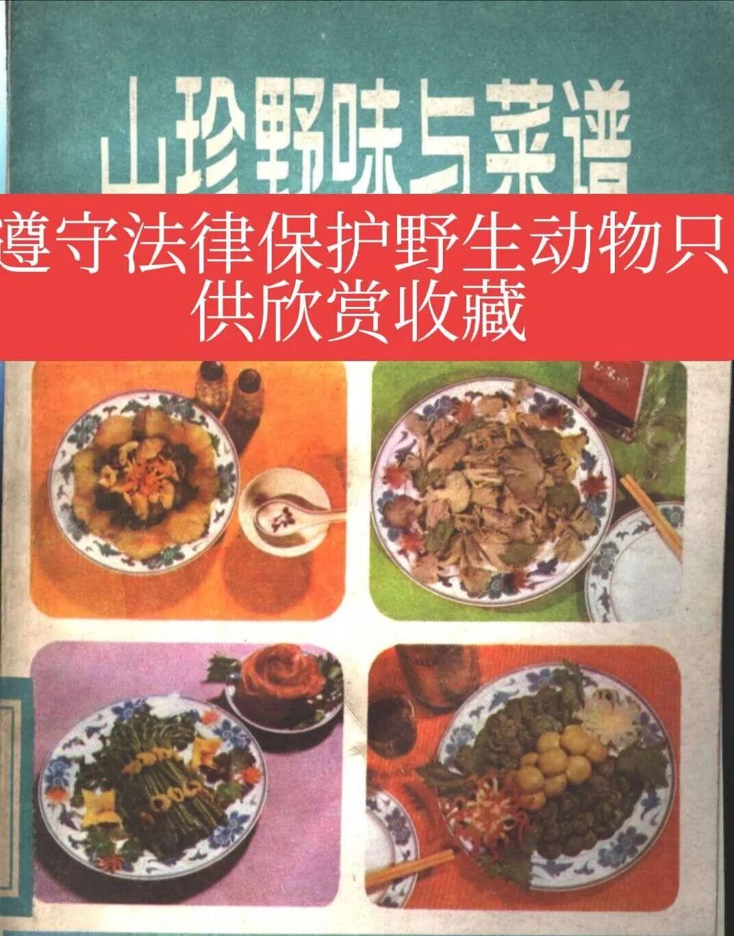 菜系文化认证标准_东北菜为什么没入八大菜系_东北菜与鲁菜的关系