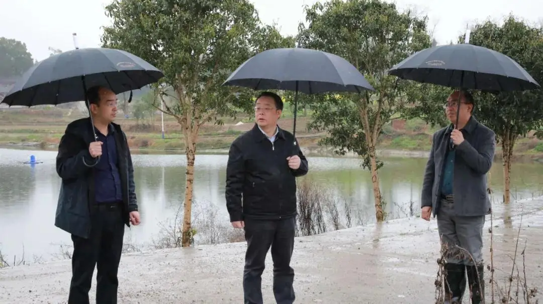 龙溪河流域可持续发展_龙溪河生态经济带_龙溪河流域水环境综合治理
