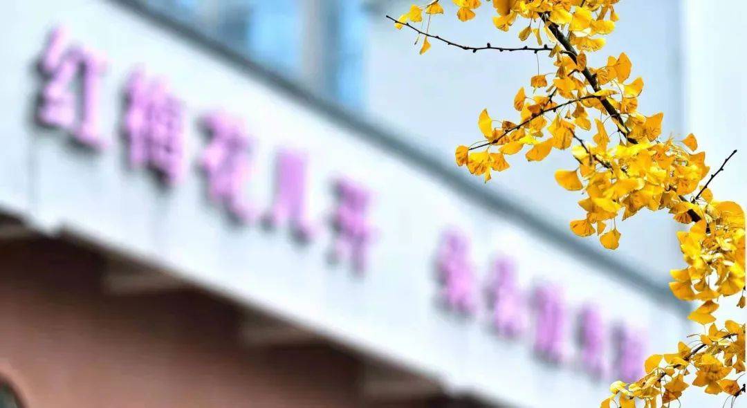 重庆兼善中学如何_重庆中小学集团化办学_沙坪坝区教育集团学校
