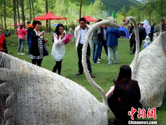 青海省首届稻草人创意文化艺术节_童心未泯探访童话森林_稻草人"文化旅游节