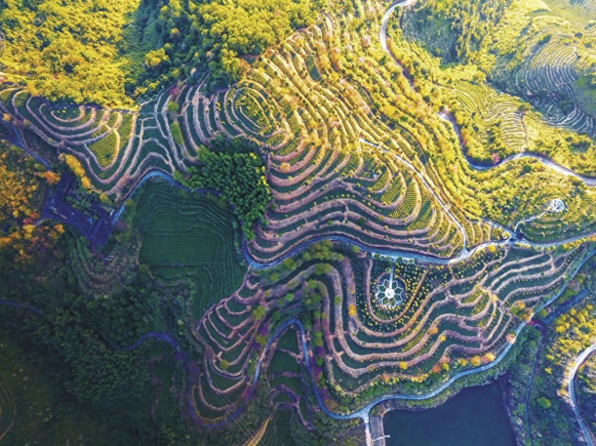清水祖师文化与安溪精神探究_安溪tie文化_安溪建筑与茶文化