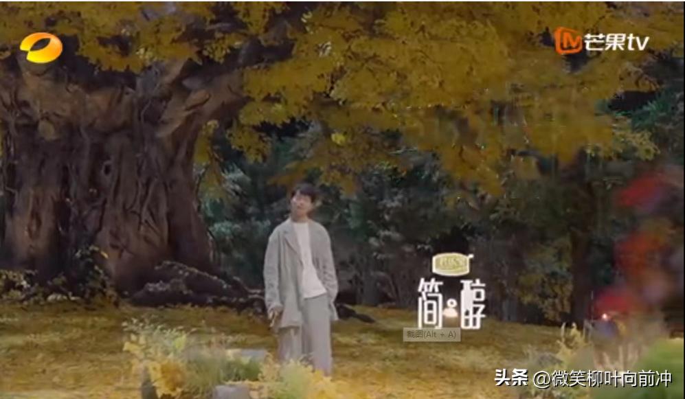 张栋梁王子mp3下载_张栋梁 当你孤单你会想起谁 青春回忆
