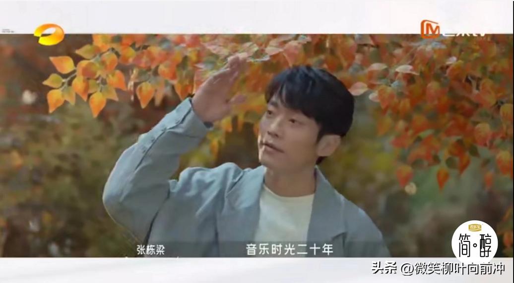 张栋梁王子mp3下载_张栋梁 当你孤单你会想起谁 青春回忆