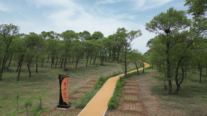 右玉精神 传承 生态文明建设_右玉苍头河生态走廊