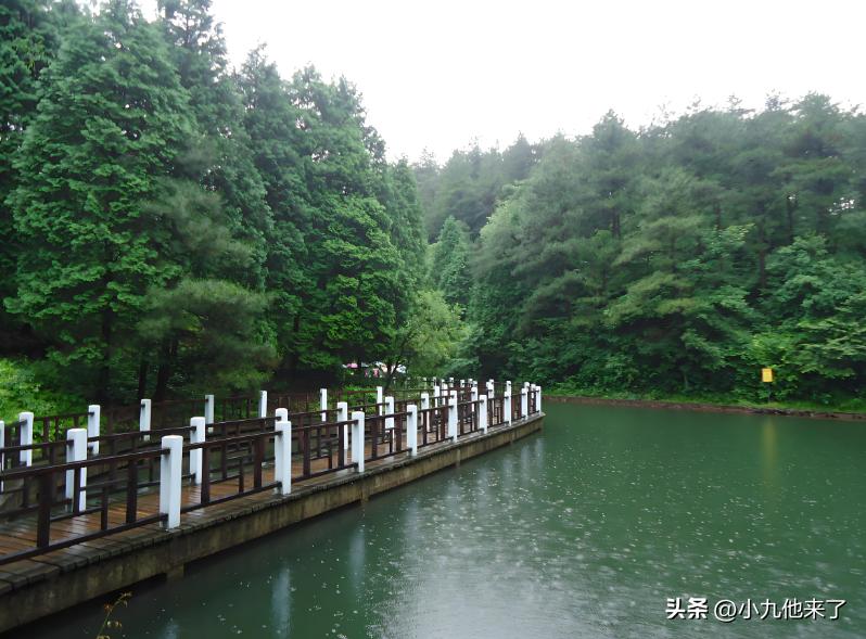 宁波五大经典美食_宁波十大景点推荐_宁波文化广场灯光节