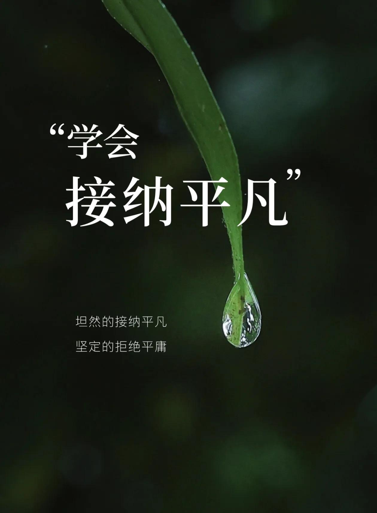 平凡不等于平庸_接纳平凡拒绝平庸_平凡之路肖战