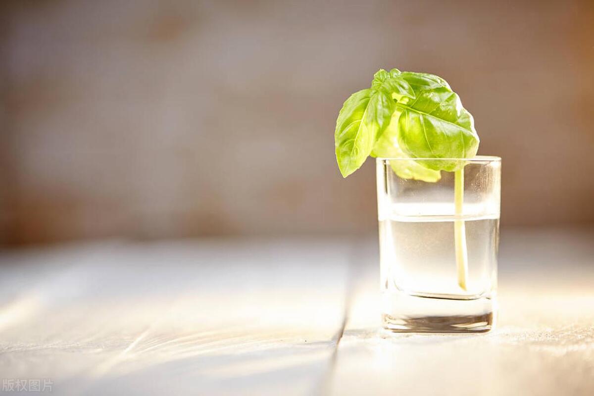 平凡与平庸的区别_平凡中寻找不凡_平凡之路肖战