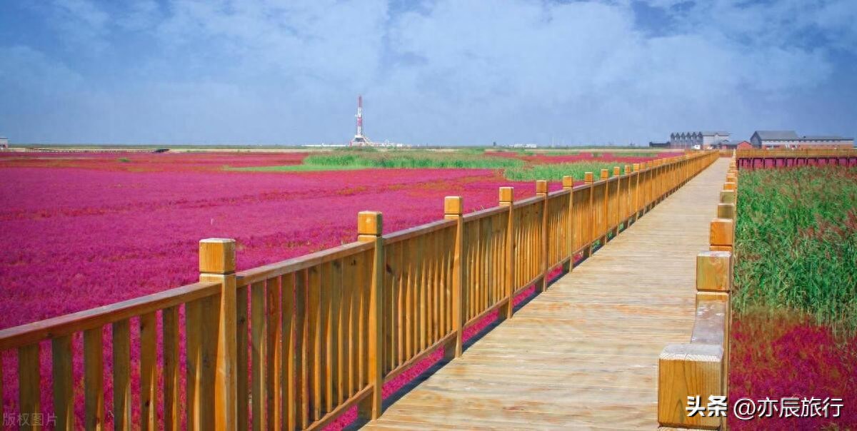 盘锦市红海滩景区电话_盘锦红海滩国家风景廊道_盘锦旅游景点推荐