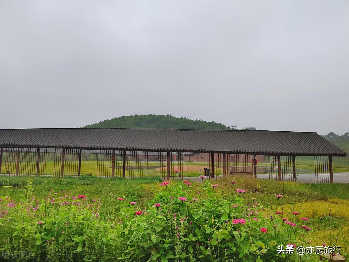 盘锦旅游景点推荐_盘锦市红海滩景区电话_盘锦红海滩国家风景廊道