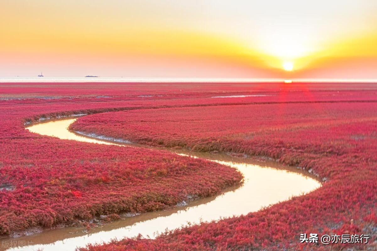 盘锦旅游景点推荐_盘锦红海滩国家风景廊道_盘锦市红海滩景区电话