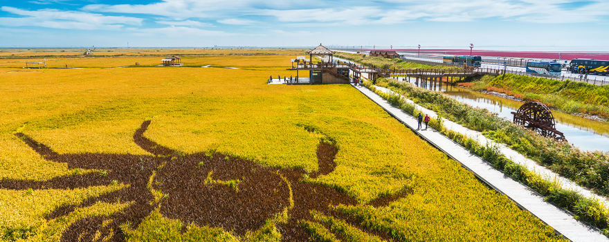 辽宁盘锦旅游攻略：举世罕见的红海滩，世界最大的芦苇荡