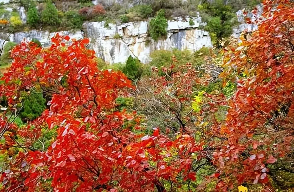青州古城旅游攻略_潍坊旅游必去景点_潍坊市民文化艺术中心