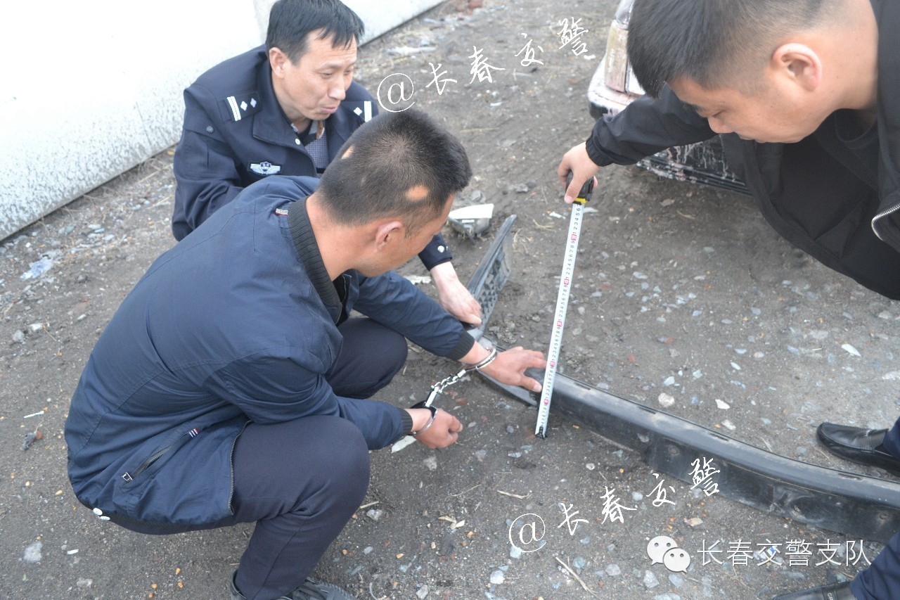 农安中学生被撞死亡案件_黑色轿车肇事逃逸案_农安实验中学校花