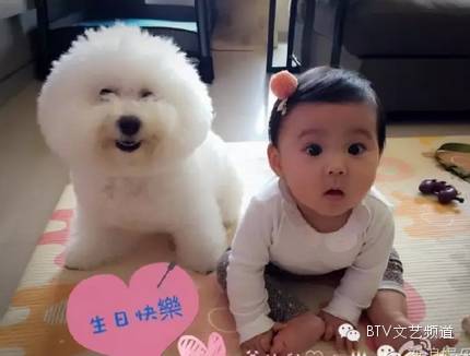 贾静雯和修杰楷幸福生活_贾静雯小女儿咘咘微博曝光_贾静雯小女儿