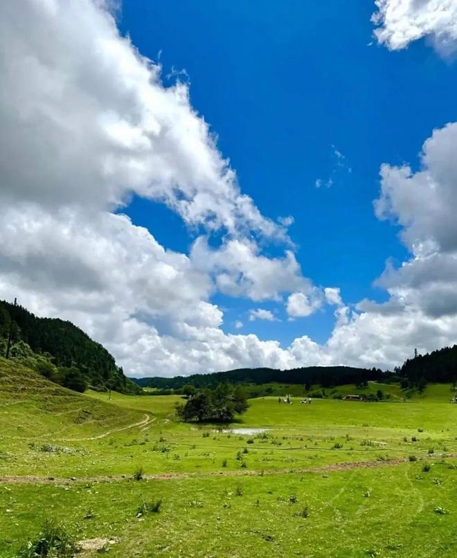 重庆旅游攻略_重庆洪崖洞在哪个区_重庆4日游行程