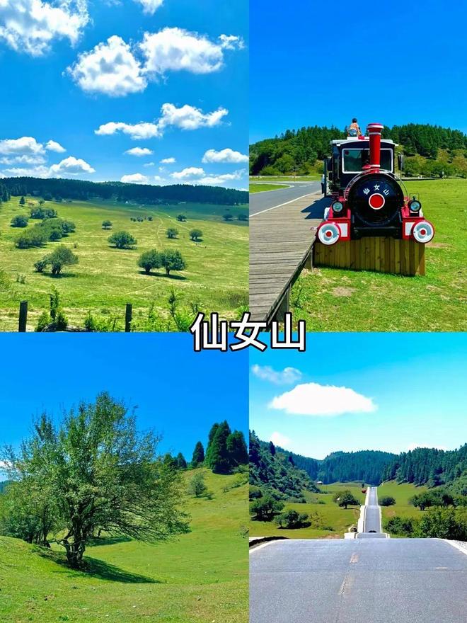 重庆洪崖洞在哪个区_重庆旅游攻略_重庆4日游行程