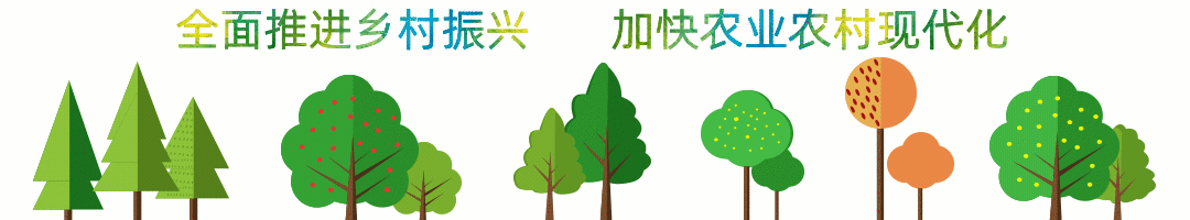 秸秆的综合利用技术_秸秆肥料化利用_秸秆五化利用技术