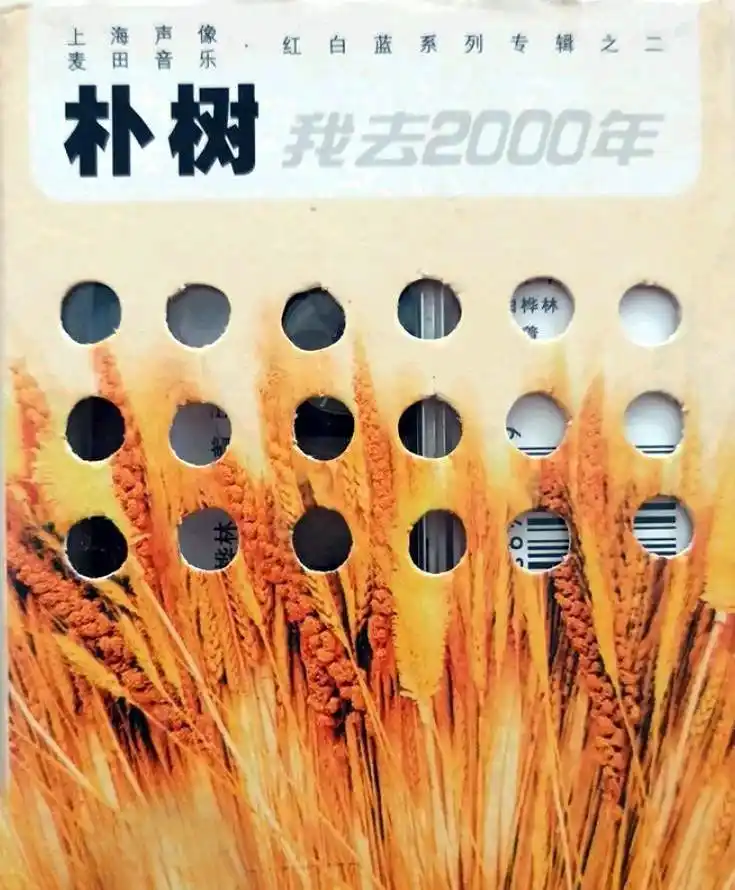 朴树简介绯闻_朴树与吴敏菲_朴树吴敏菲爱情故事