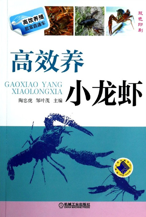 小龙虾吃什么东西才可以变大_自己养小龙虾方法_如何在家养小龙虾