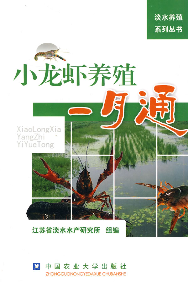 自己养小龙虾方法_小龙虾吃什么东西才可以变大_如何在家养小龙虾
