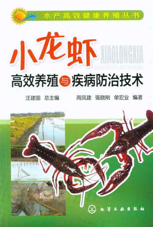 小龙虾吃什么东西才可以变大_如何在家养小龙虾_自己养小龙虾方法