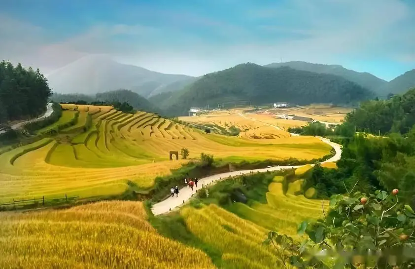 赣州招商银行地址_赣州旅游接地气景点攻略_赣州地方特色美食介绍