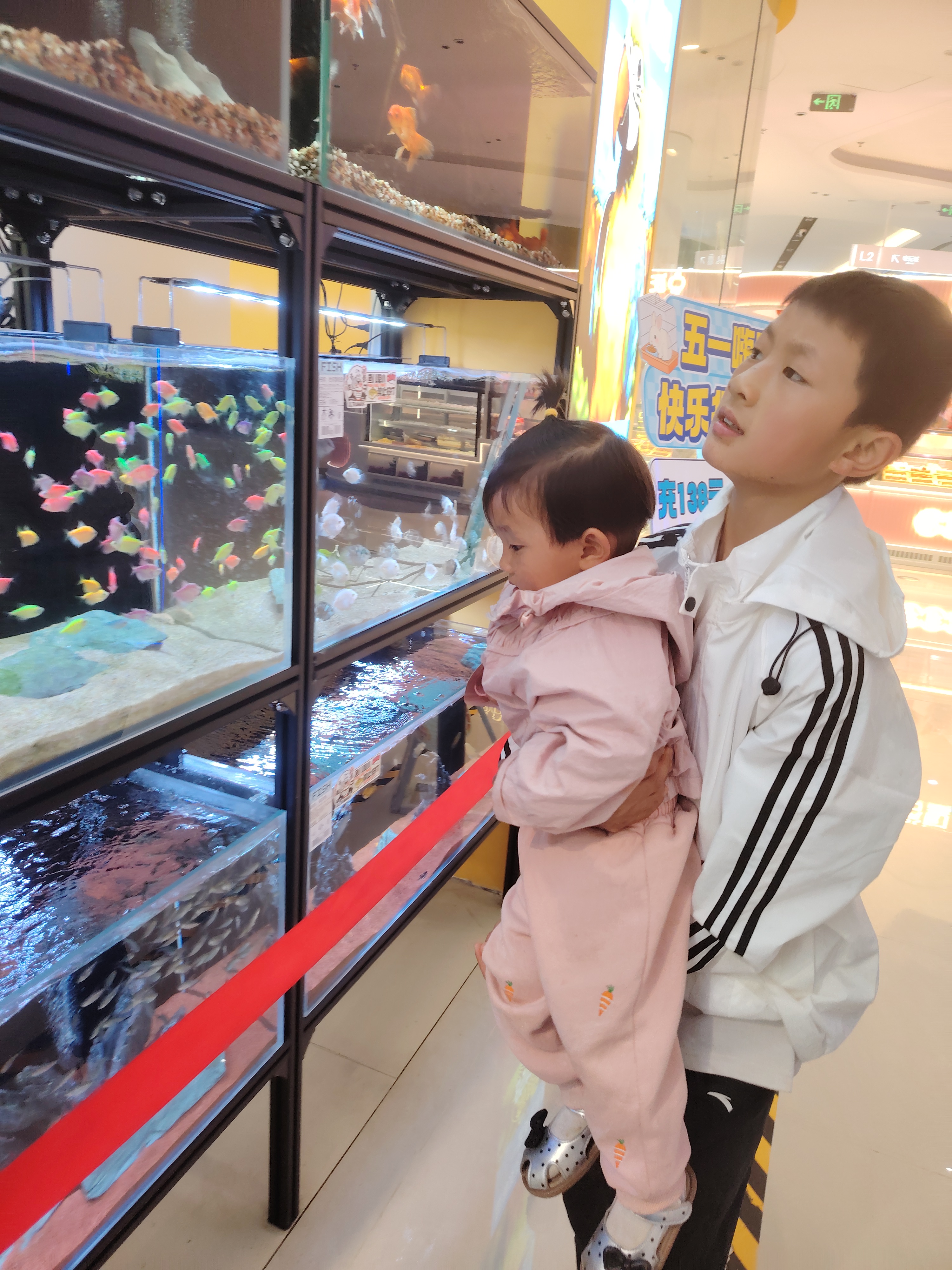 初中班级读书活动计划_书香校园建设_全民阅读活动周系列师生共读主题实践活动