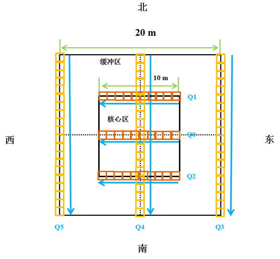 生物土壤结皮样地设置_生物量碳_生物土壤结皮监测方法