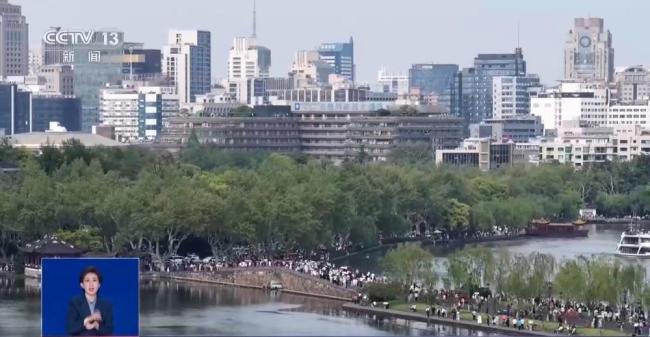 杭州西湖为何要投放漂白粉 为荷芽“保驾护航”