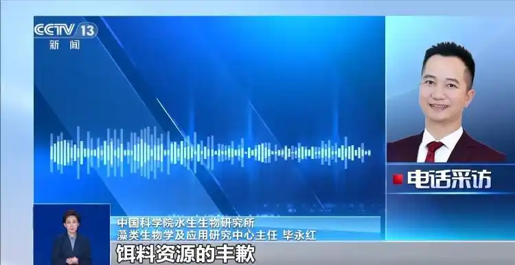 杭州西湖为何要投放漂白粉_杭州西湖投放漂白粉原因_西湖荷芽养护使用漂白粉安全性