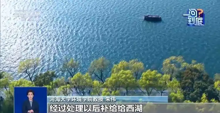 杭州西湖为何要投放漂白粉_西湖荷芽养护使用漂白粉安全性_杭州西湖投放漂白粉原因