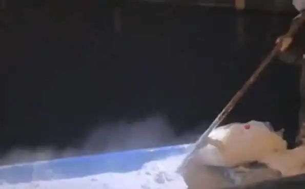 杭州西湖为何要投放漂白粉_杭州西湖清塘作业_杭州西湖撒漂白粉养护荷花