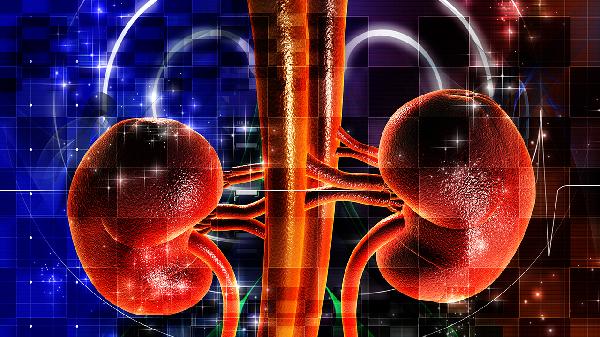 肾结石能吃钙片补钙吗