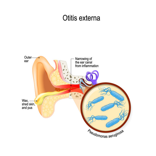 耳朵经常耳鸣怎么回事