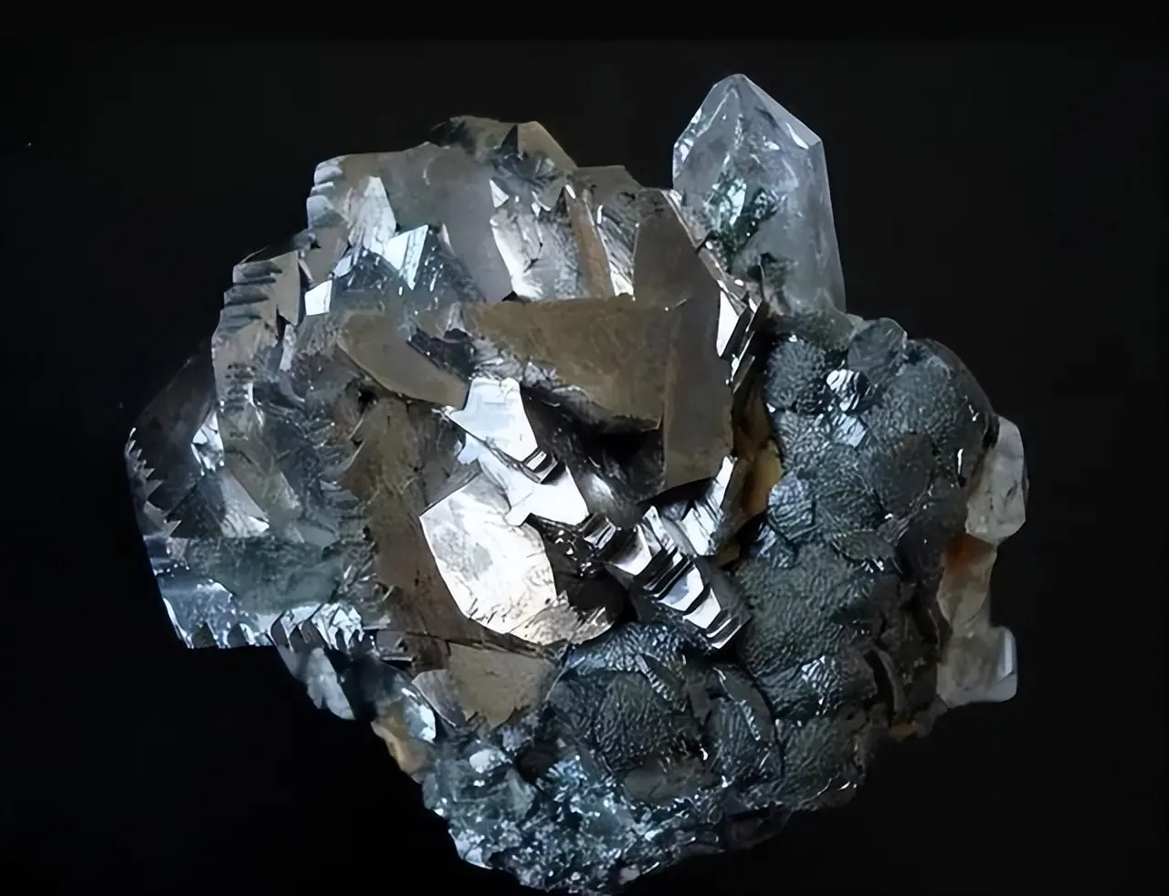 防毒面具的价格_面具防毒价格多少_面具防毒价格高吗