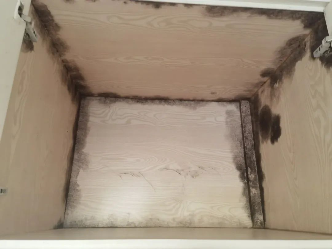 实木颗粒板生态板_生态板多层板欧松板颗粒板密度板_定制家具板材选择