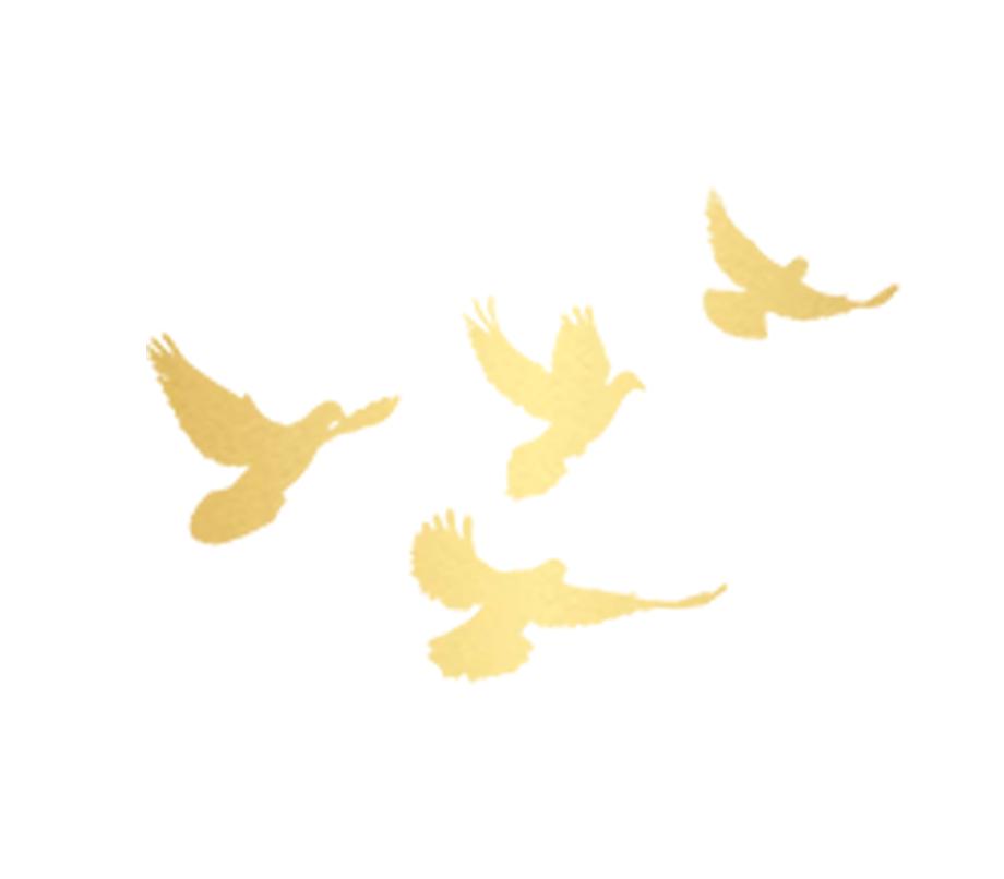 英模文化工资_英模精神学习心得_宋鱼水法官先进事迹