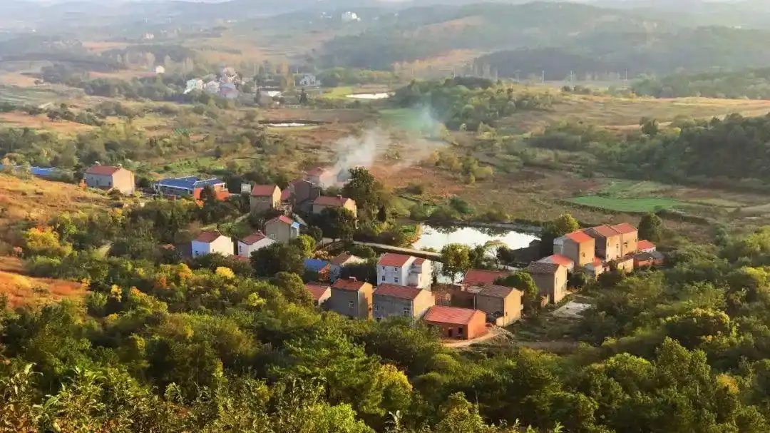 生态农业旅游开发知识与实例_农文旅融合_乡村振兴战略