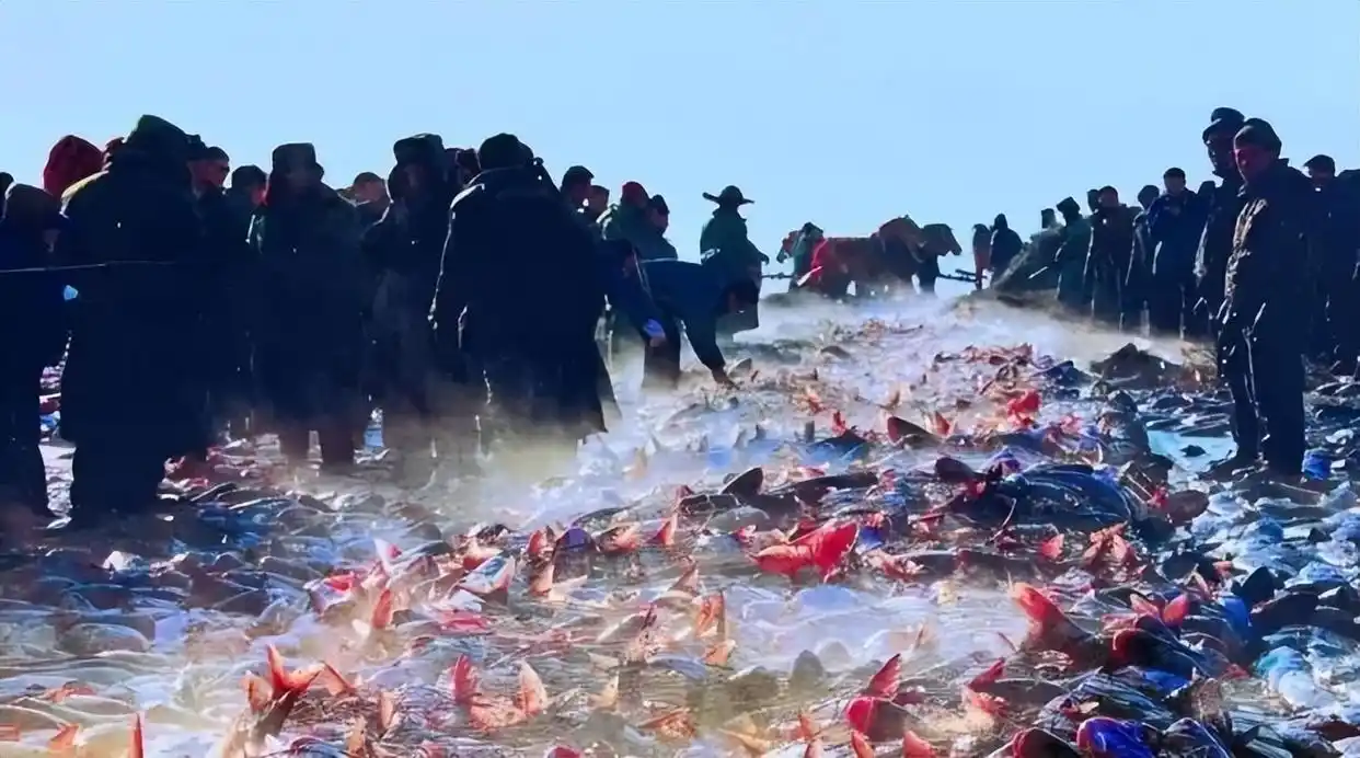 乡村振兴战略_生态农业旅游开发知识与实例_农文旅融合