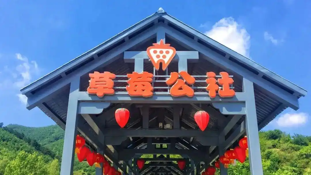 农文旅融合_生态农业旅游开发知识与实例_乡村振兴战略