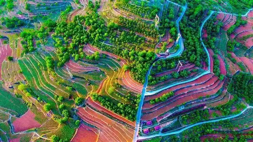 乡村振兴战略_农文旅融合_生态农业旅游开发知识与实例