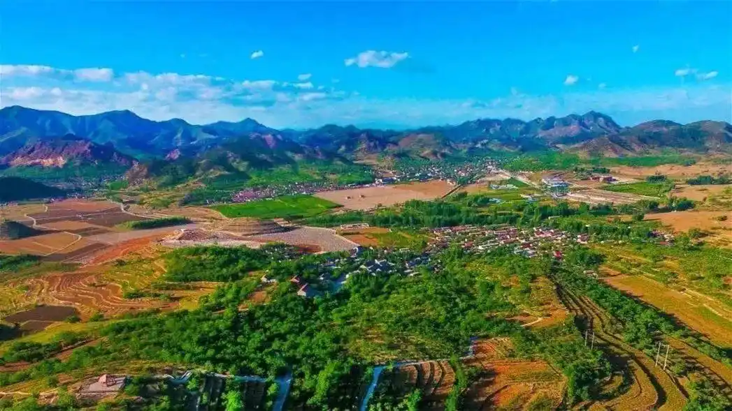 乡村振兴战略_生态农业旅游开发知识与实例_农文旅融合