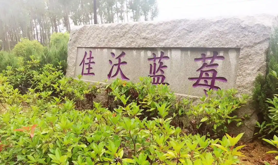 生态农业旅游开发知识与实例_乡村振兴战略_农文旅融合