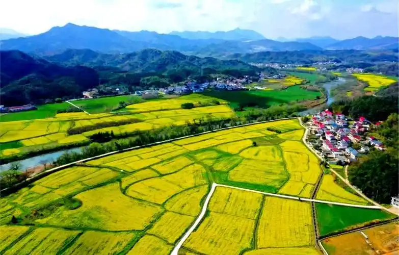 城乡规划海绵城市口袋公园第六产业_生态农业旅游开发知识与实例_生态农旅江苏乡村振兴