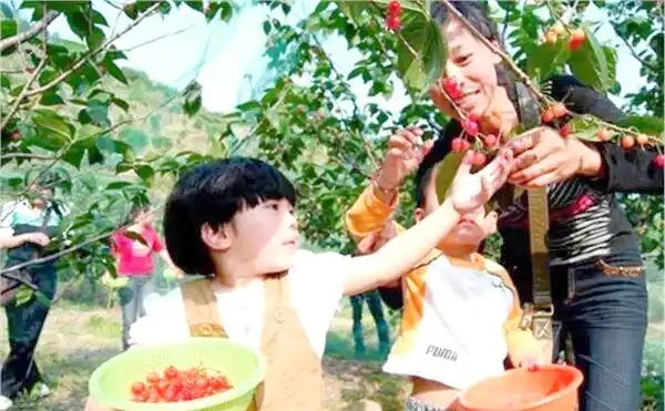 生态农旅江苏乡村振兴_生态农业旅游开发知识与实例_城乡规划海绵城市口袋公园第六产业